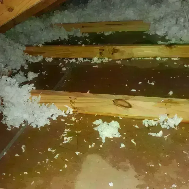 Attic Water Damage in Galax, VA